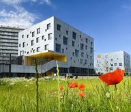 Vue sur les écoles Charmille et Schuman