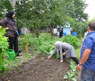 Le potager en action