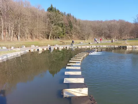 Atelier Paysage - Development of a new wetland in Chevetogne