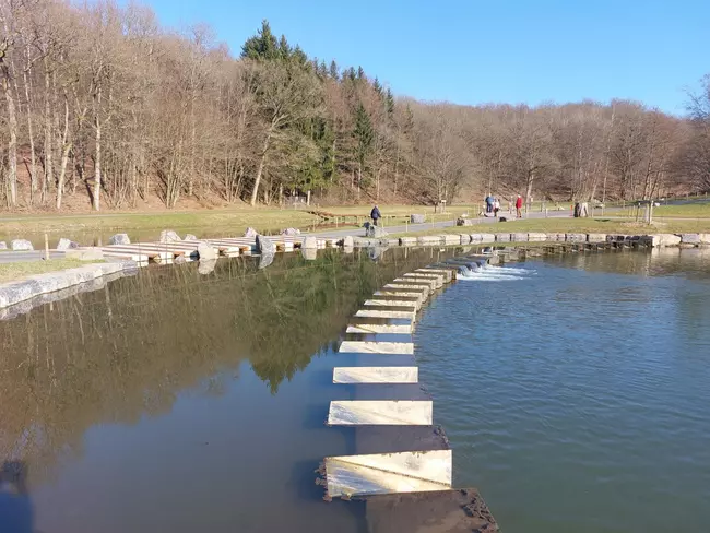 Atelier Paysage - Development of a new wetland in Chevetogne